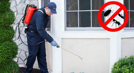 Yenişarbademli Dezenfeksiyon böcek ilaçlama ve haşere kontrolü — ilaclama-tr.com
